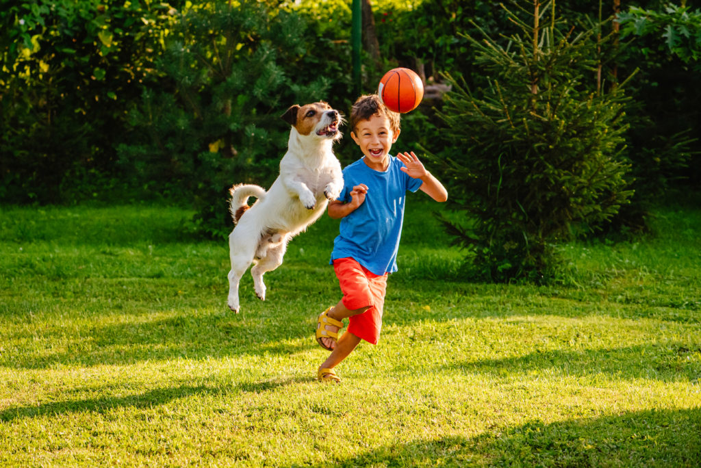 Family,Having,Fun,Outdoor,With,Dog,And,Basketball,Ball
